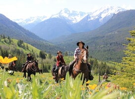 Data Collection Wilderness Horseback Conservation 