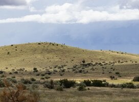 Kukama Wildlife College