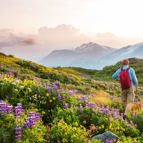 Person walking through mountains during sunset