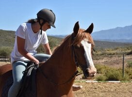 volunteer on horse