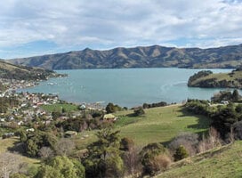 Study abroad in Christchurch with IES Abroad!