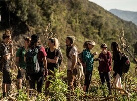 GVI: Volunteer in Thailand