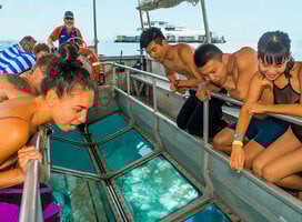 Great Barrier Reef Conservation