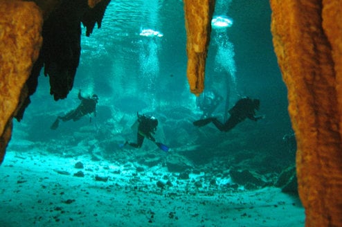 GVI: Marine Conservation Volunteering