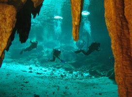 GVI: Marine Conservation Volunteering