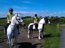 Equine study abroad program in Scotland