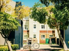 Stellenbosch University