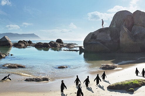 Cover Photo Cape Town, South Africa