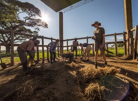 Gap Year Participant