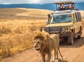 Ngorongorongoro Crater 