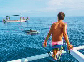 Dolphin Spotting in Lovina