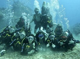 Explore the world underwater with new friends