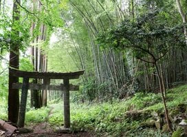 Semester in Japan – Toyo University