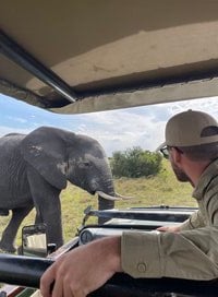 a man looks on an elephant  