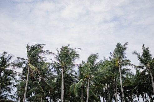 Volunteer in the Bahamas