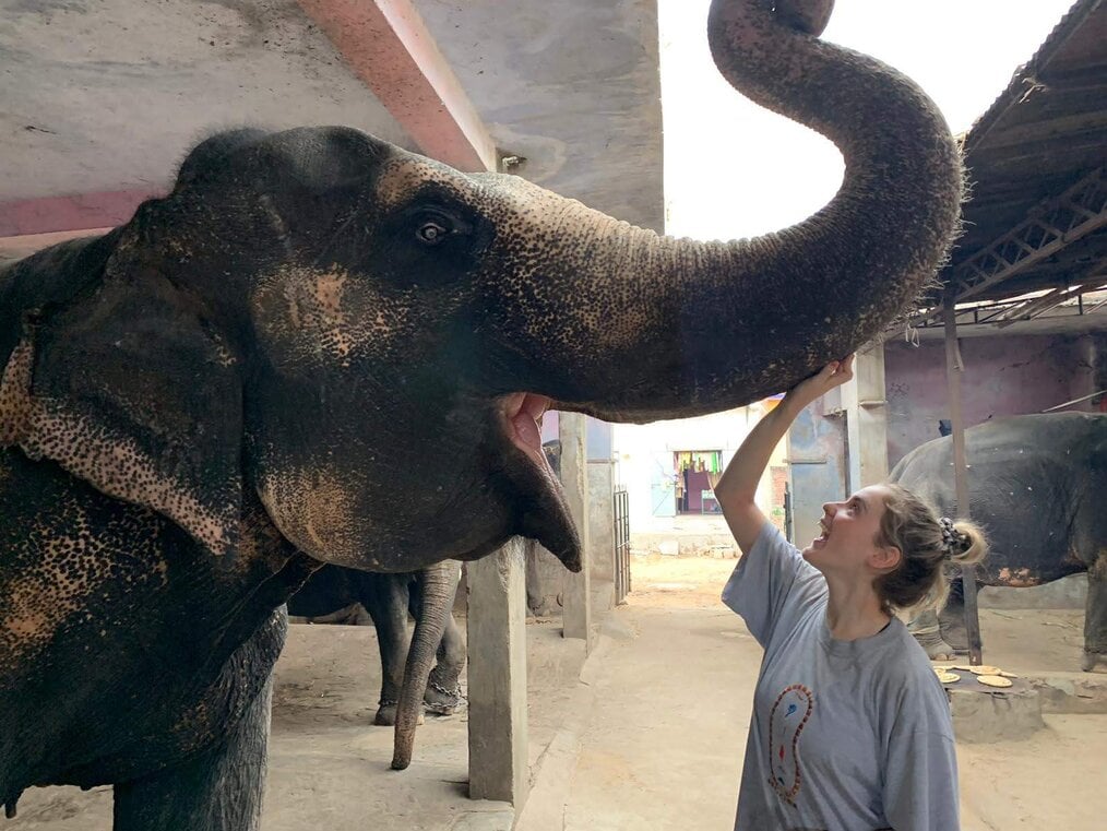 A smiling woman touches the trunk of a large elephant.