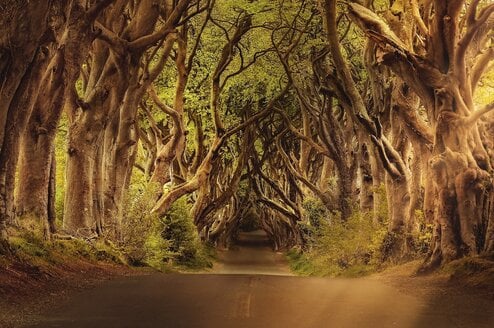 Northern Ireland CLP Header