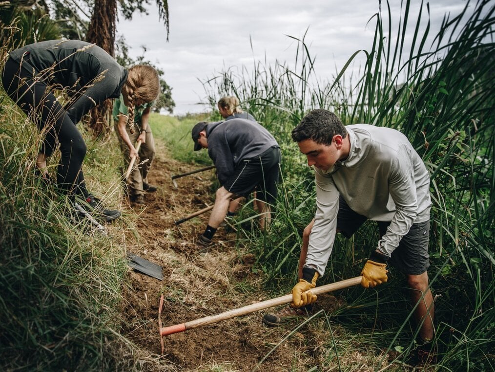 A group uses tools to weed hillside.