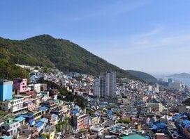 TEAN: Study Abroad in Busan, South Korea
