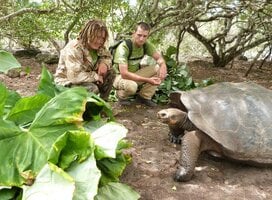 Projects Abroad Volunteer Programs in the Galapagos