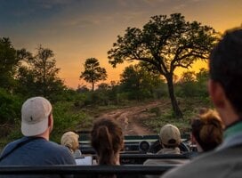 group of volunteers going for a safari ride in South Africa