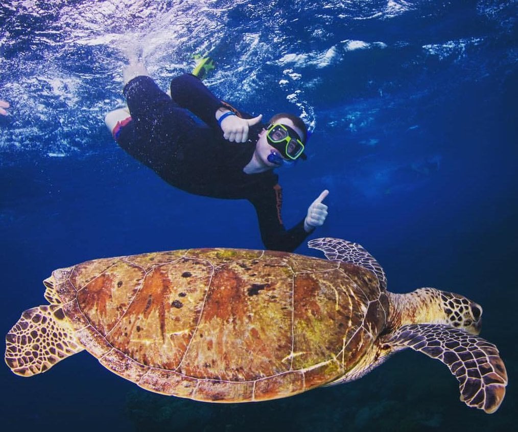 Ryan, TEAN Study in Sydney