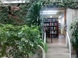 semester study abroad in costa rica with cis abroad