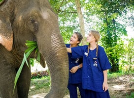 Two students in awe while touching an elephant