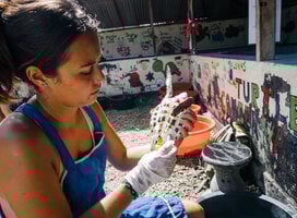 Sea Turtle Volunteer in Bali with IVHQ