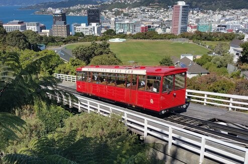 Wellington CLP Header