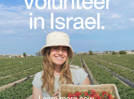 Volunteer In Israel