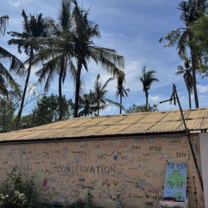 Turtle Conservation center