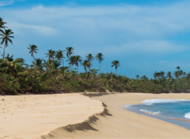 Volunteer in Puerto Rico with IVHQ